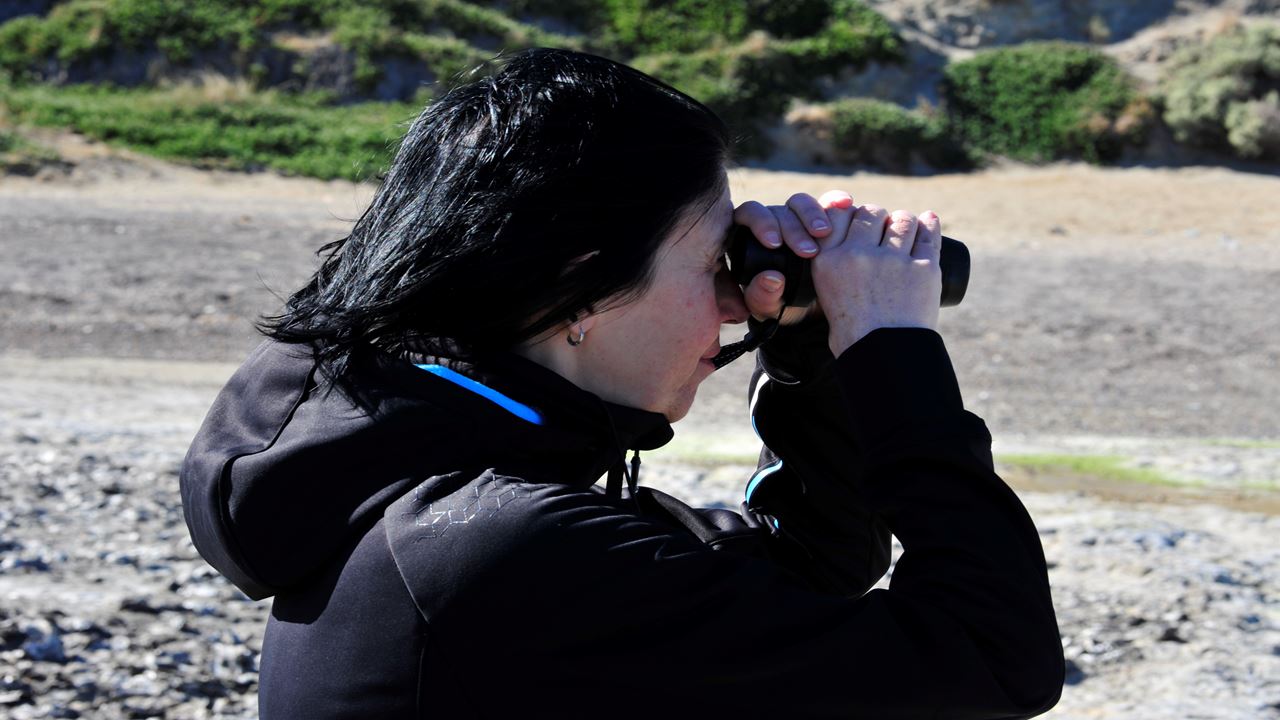 Observation De Baleines Dans La Péninsule De Valdés foto 4
