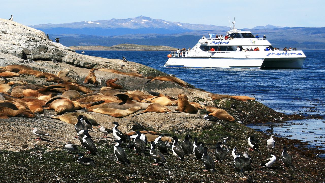 Navigation Beagle Channel Und Wolf Island foto 2