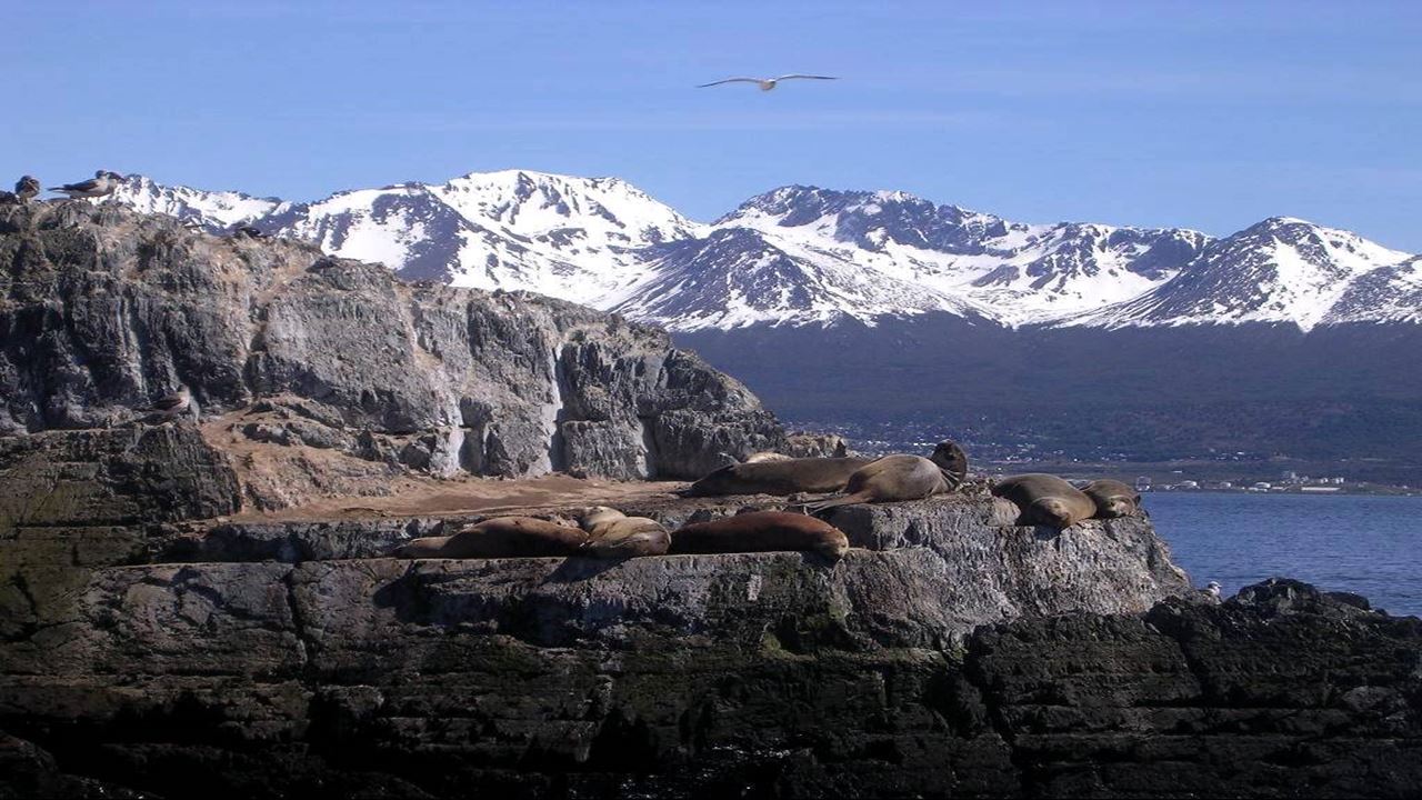 Navigation Beagle Channel Und Wolf Island foto 4