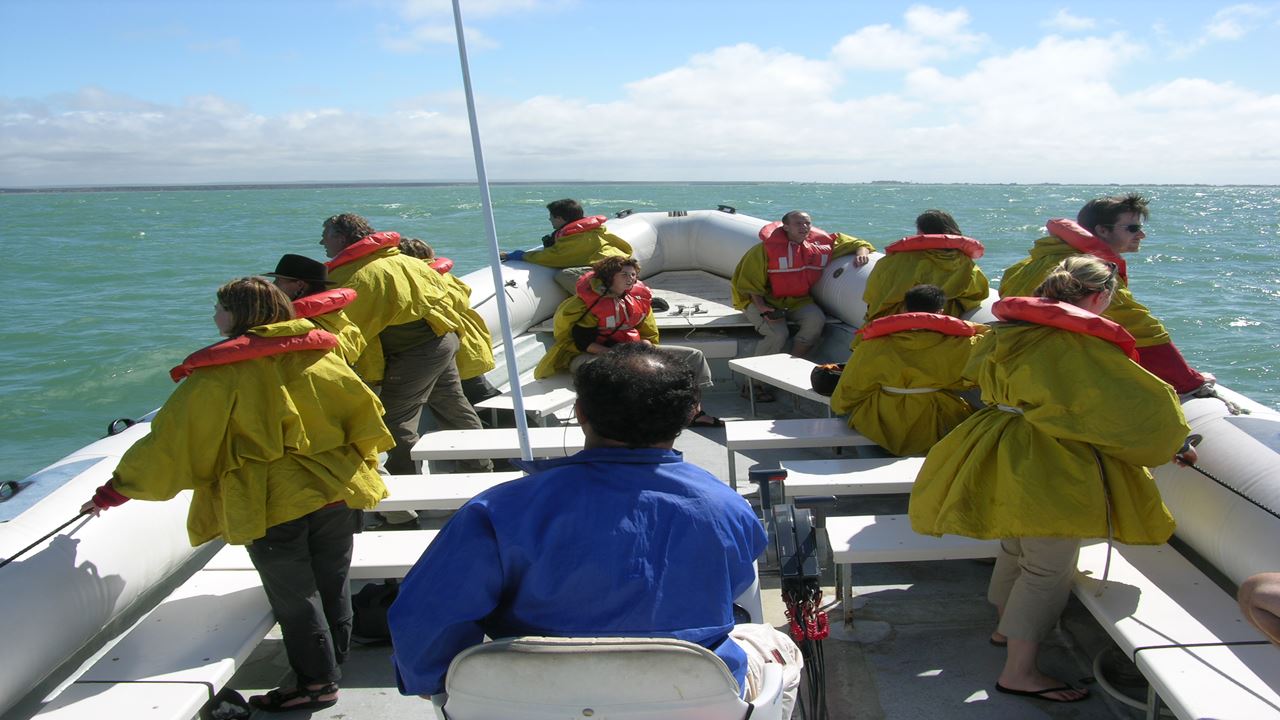 Punta Tombo Mit Beobachtung Von Pinguinen Und Doninas foto 5