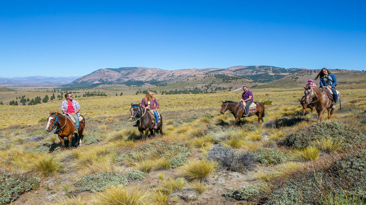 Medio Dia En El Campo Con Cabalgata Y Asado foto 4