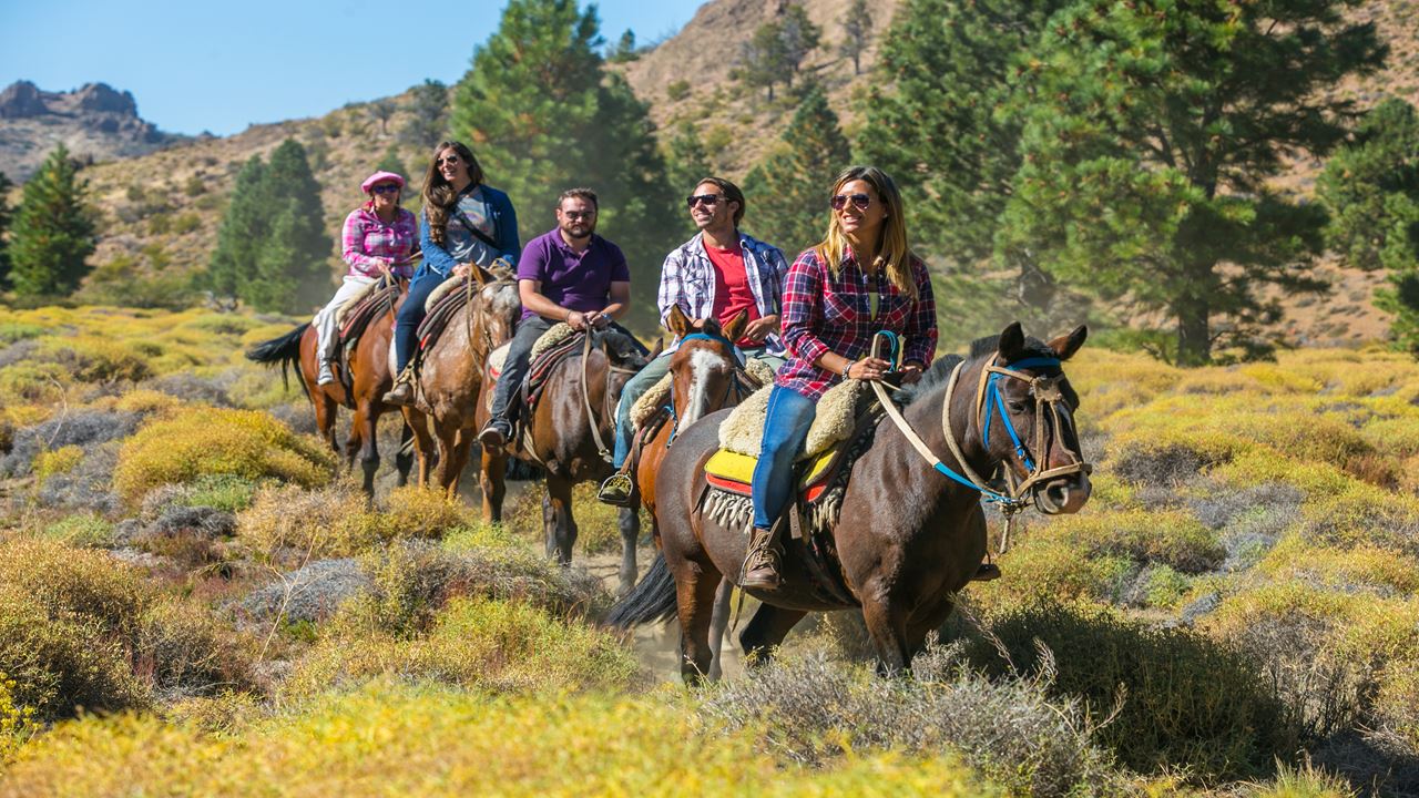 Medio Dia En El Campo Con Cabalgata Y Asado foto 5