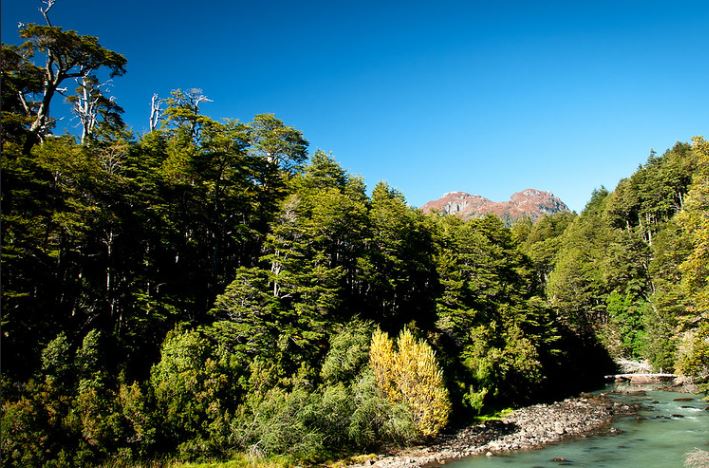 Andenüberquerung Von Bariloche Nach Puerto Varas foto 10