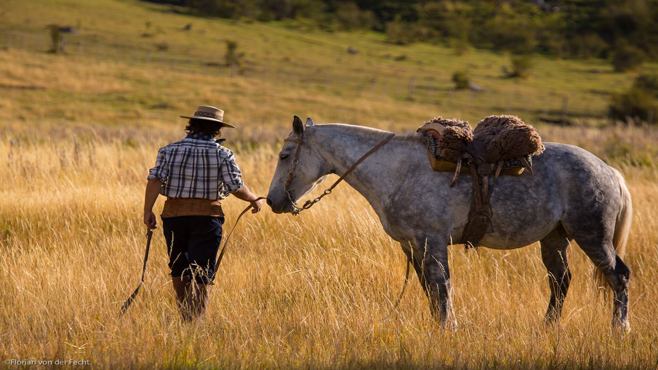 Countryside Nibepo Aike Stay With Horse Riding foto 6