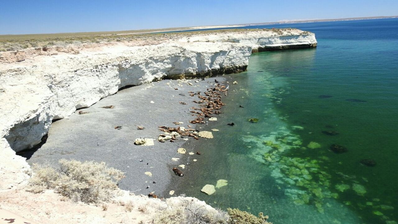 City Tour Porto Madryn E Punta Loma foto 2