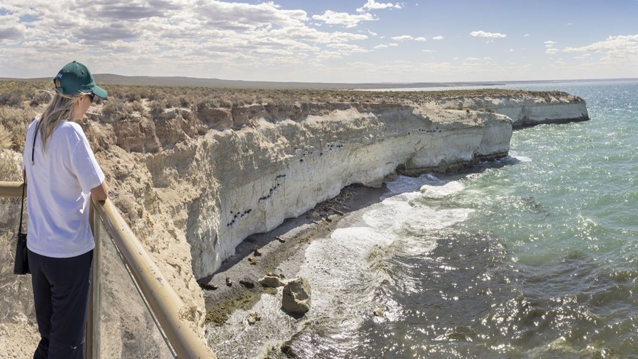 City Tour Porto Madryn E Punta Loma foto 1