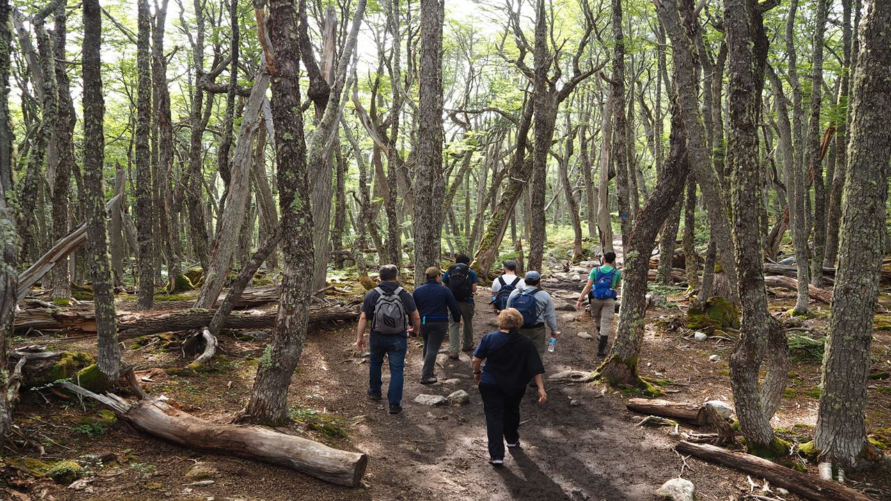 Trekking À Laguna Esmeralda E Castoreras foto 3