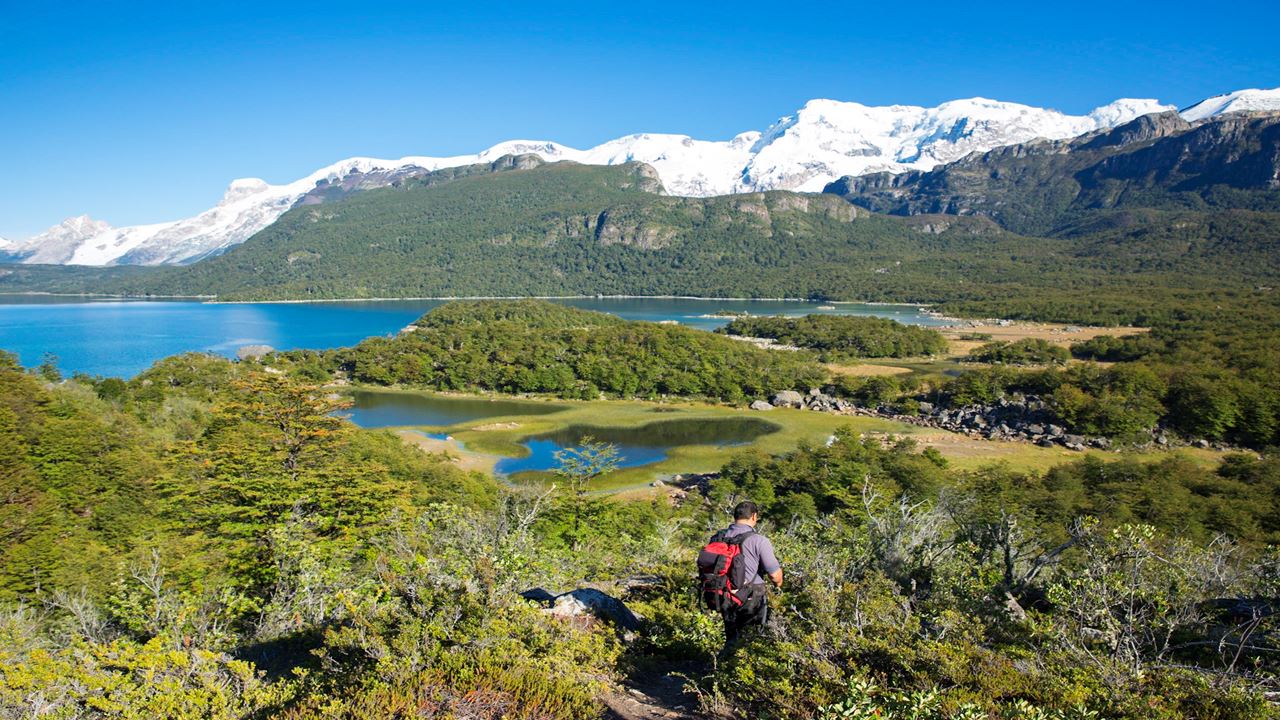 Trekking Y Navegacion A Los Glaciares Australes foto 4