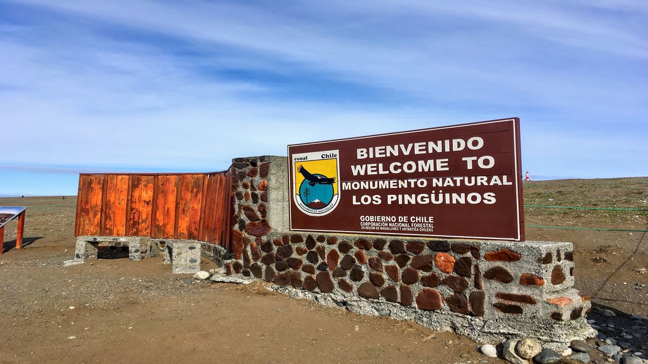 Navegacion Pingüinera Isla Magdalena foto 3