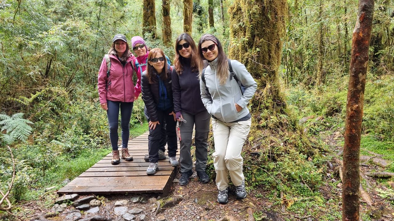 Alerce Ancestral Route Und Chaiquenes-lagune: Wanderung Zum Alerce Andino Nationalpark foto 7