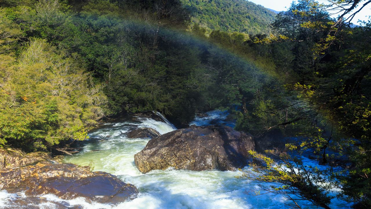 Alerce Ancestral Route Und Chaiquenes-lagune: Wanderung Zum Alerce Andino Nationalpark foto 5