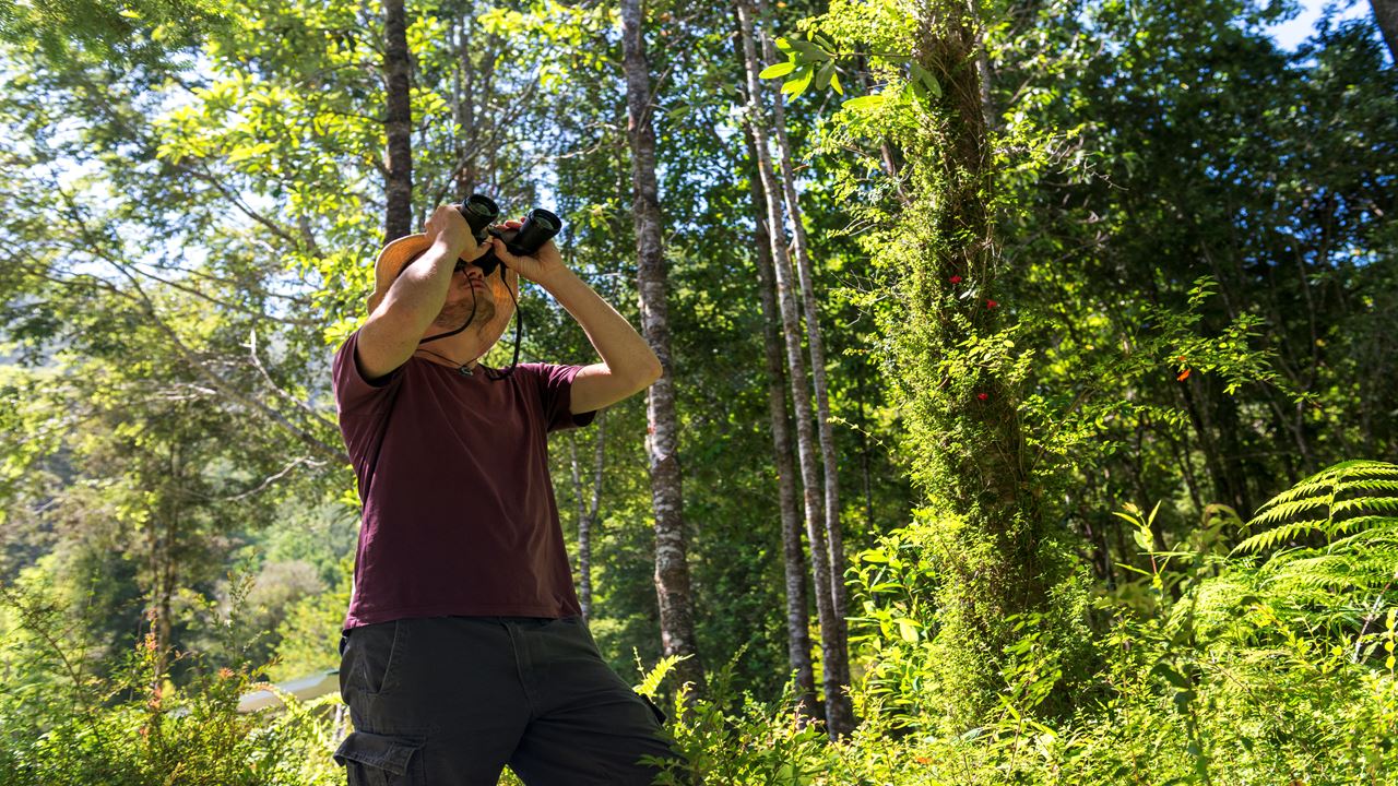 Alerce Ancestral Route Und Chaiquenes-lagune: Wanderung Zum Alerce Andino Nationalpark foto 3