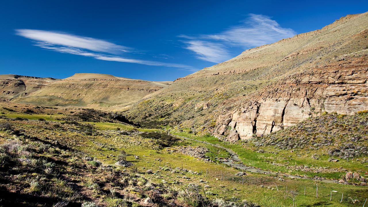 Expérience Safari - Faune Steppe foto 2