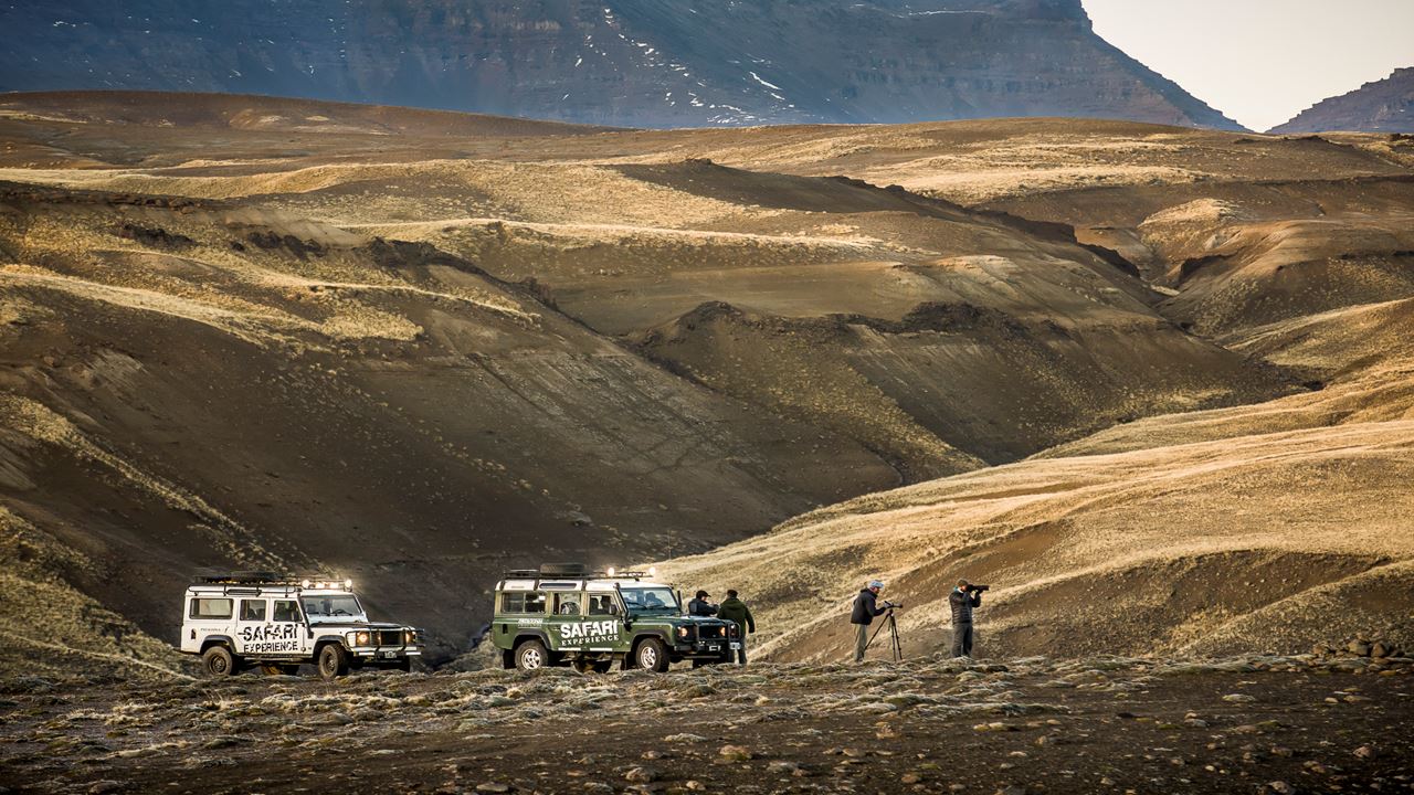 Expérience Safari - Faune Steppe foto 3