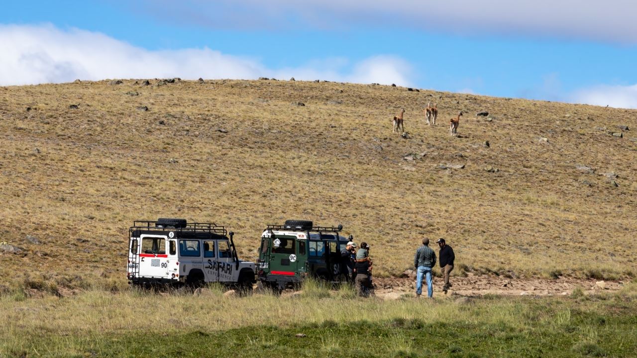 Expérience Safari - Faune Steppe foto 12