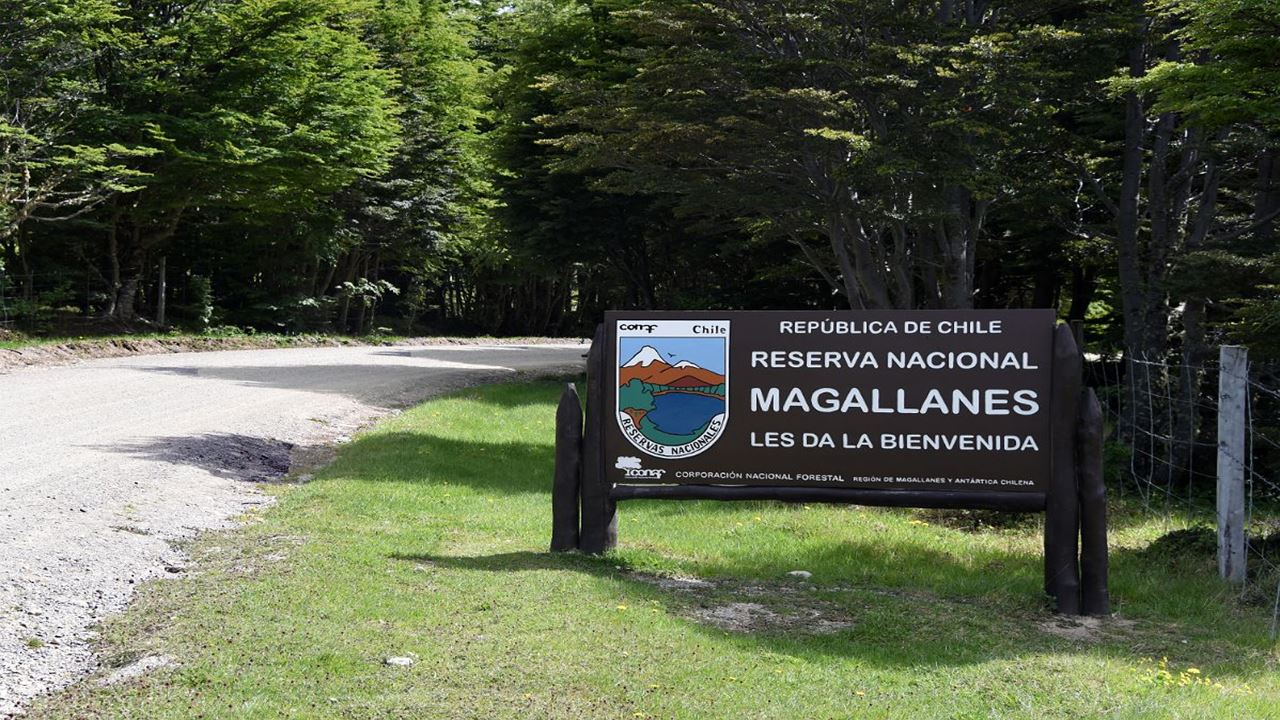Trekking À Reserva Nacional Magallanes Em Punta Arenas foto 1