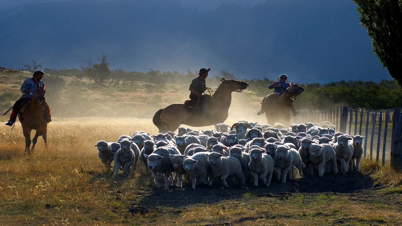 Halbtagesausflug Auf Der Nibepo Aike Ranch foto 9