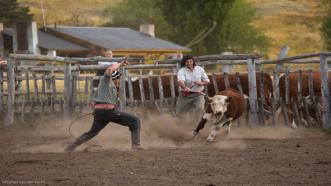 Halbtagesausflug Auf Der Nibepo Aike Ranch foto 15