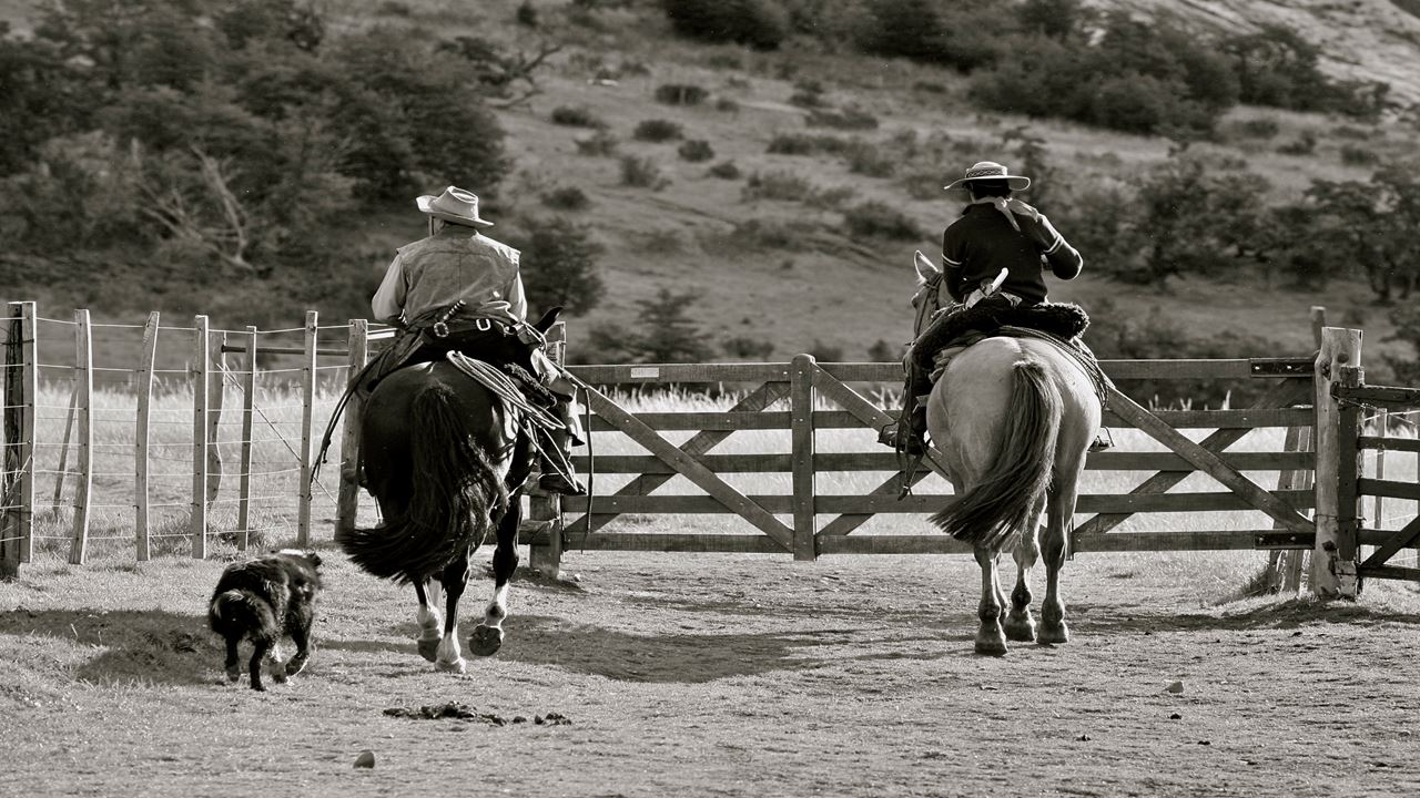 Halbtagesausflug Auf Der Nibepo Aike Ranch foto 3