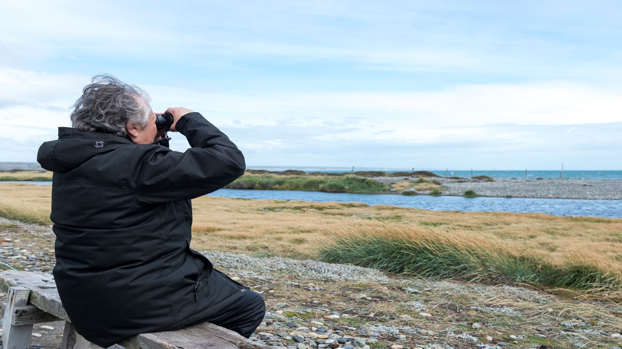 Dia Inteiro No King Penguin Park Em Tierra Del Fuego foto 7