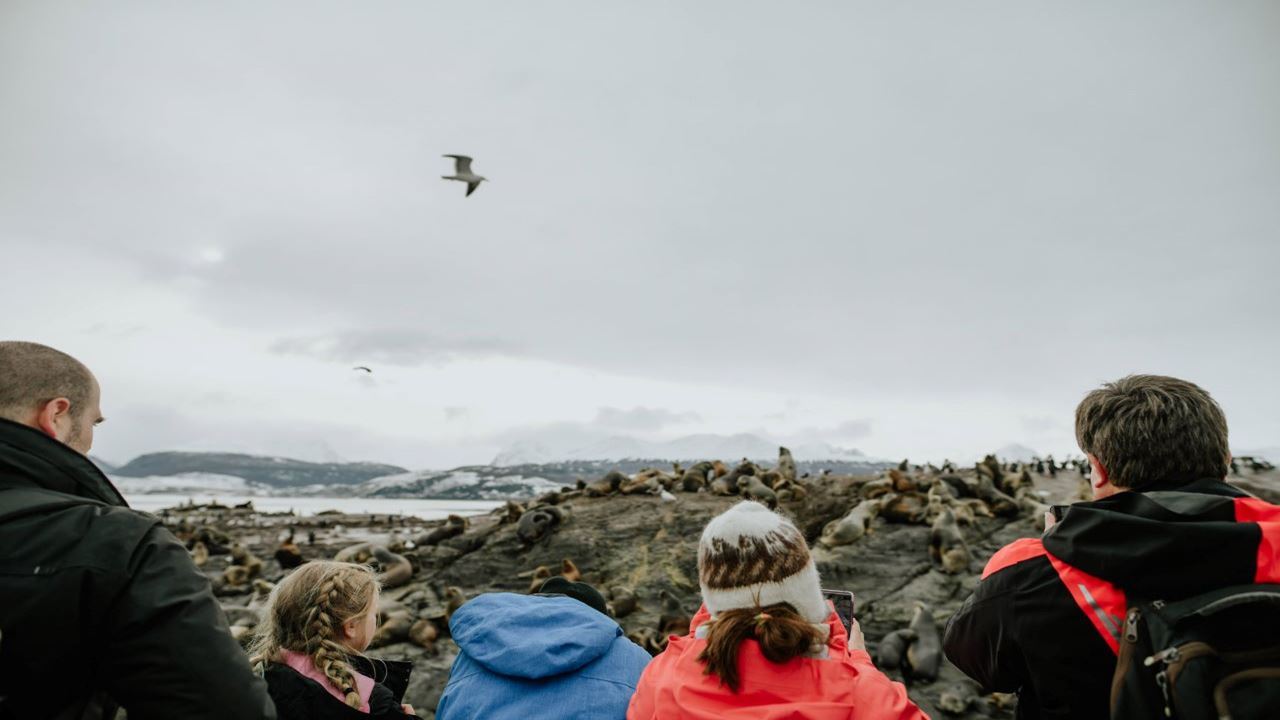 Visite D`observation Des Pingouins Sur L`île Martillo foto 8