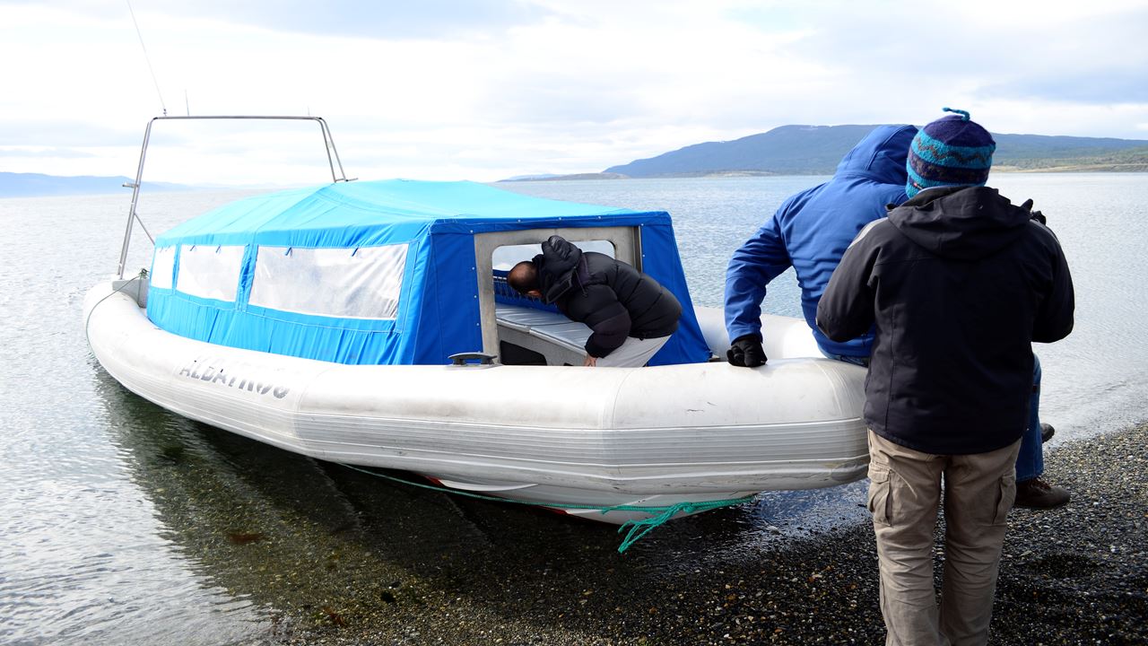 Visite D`observation Des Pingouins Sur L`île Martillo foto 5