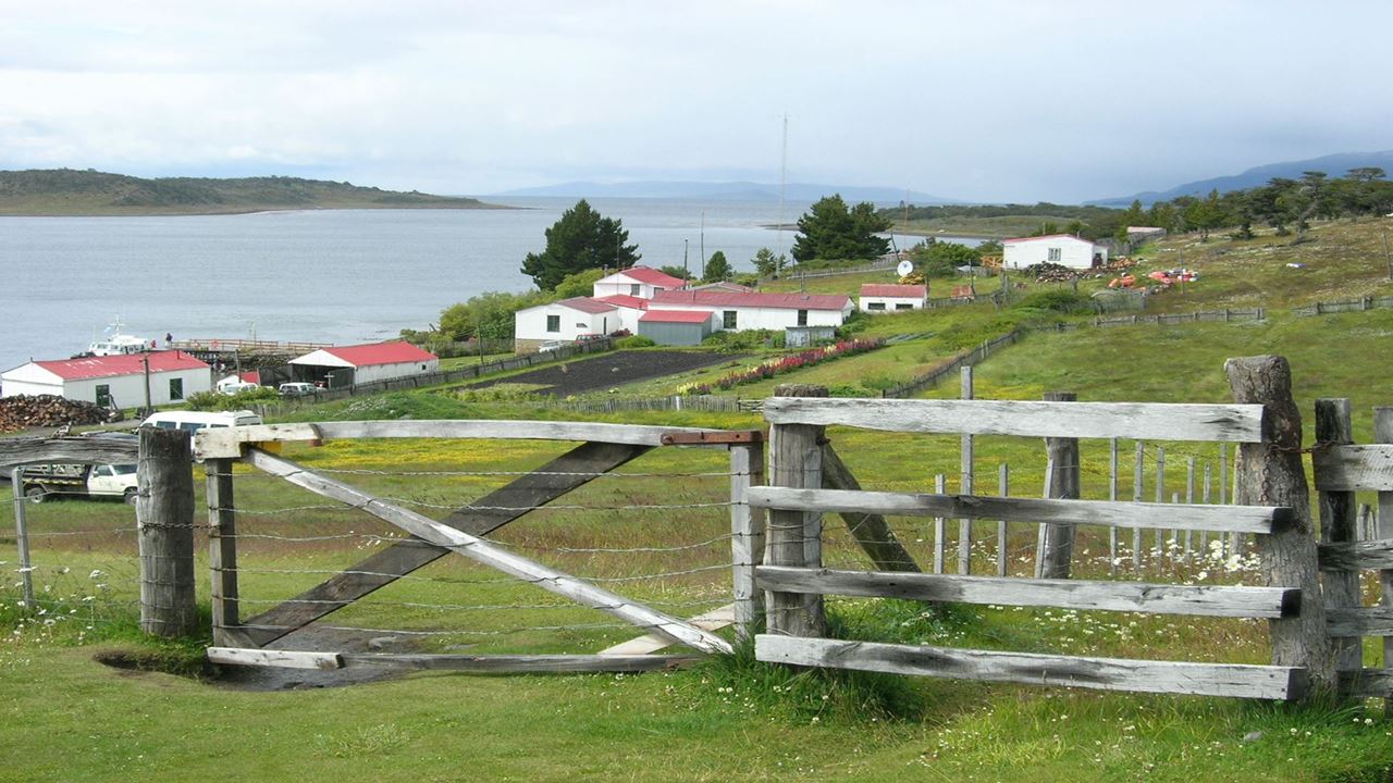 Beagle Channel Navigation And Walk With Penguins On Martillo Island
 foto 9