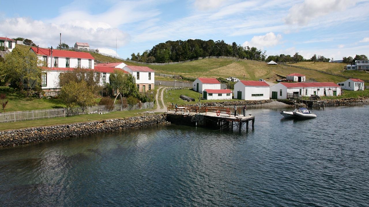 Beagle Channel Navigation And Walk With Penguins On Martillo Island
 foto 10