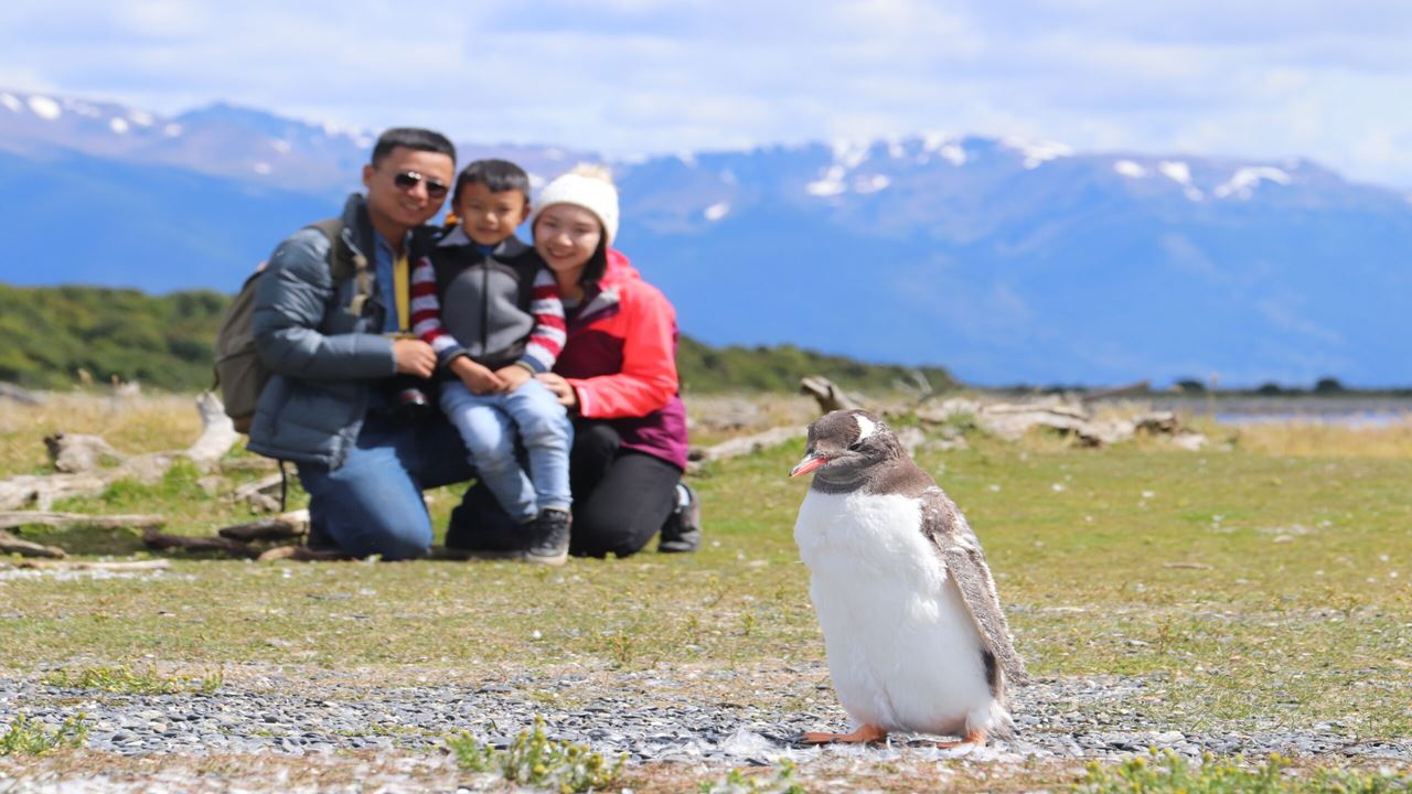 Beagle Channel Navigation And Walk With Penguins On Martillo Island
 foto 1