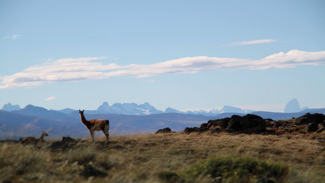 Cabalgata En El Cerro Frías foto 9