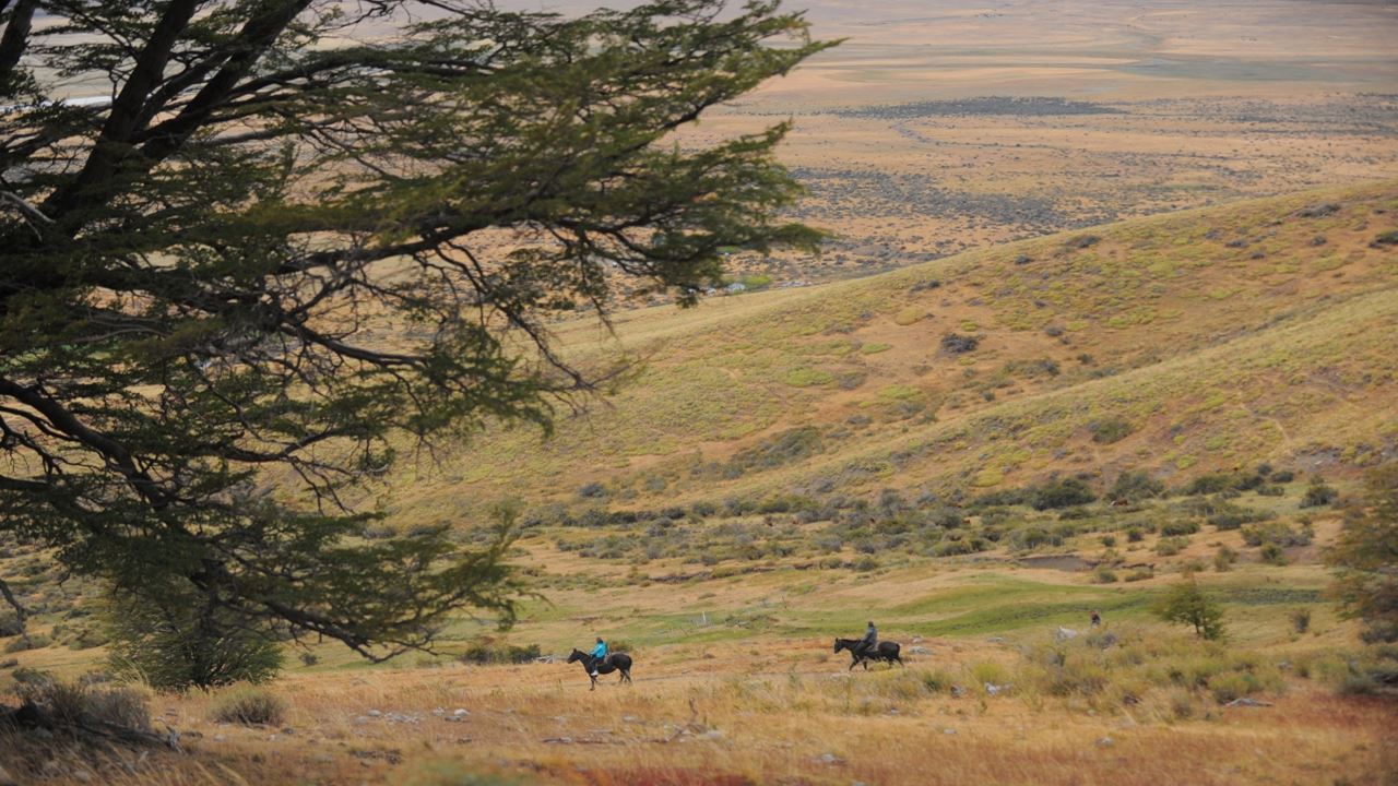 Cabalgata En El Cerro Frías foto 12