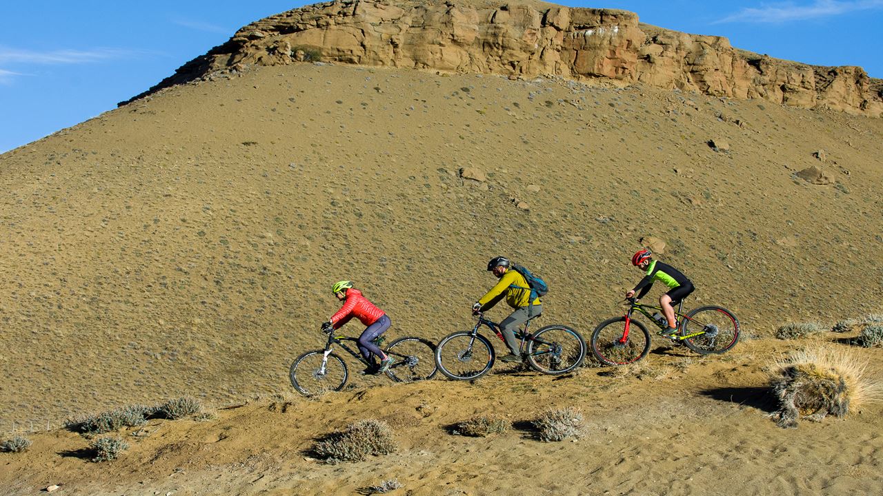 Safari-bike-erlebnis – Wildtiere Und Steppe foto 12