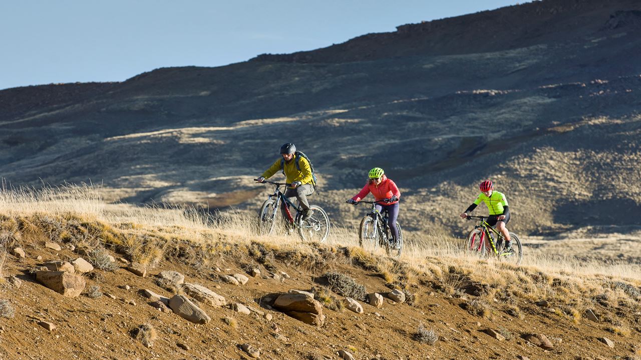 Safari-bike-erlebnis – Wildtiere Und Steppe foto 2