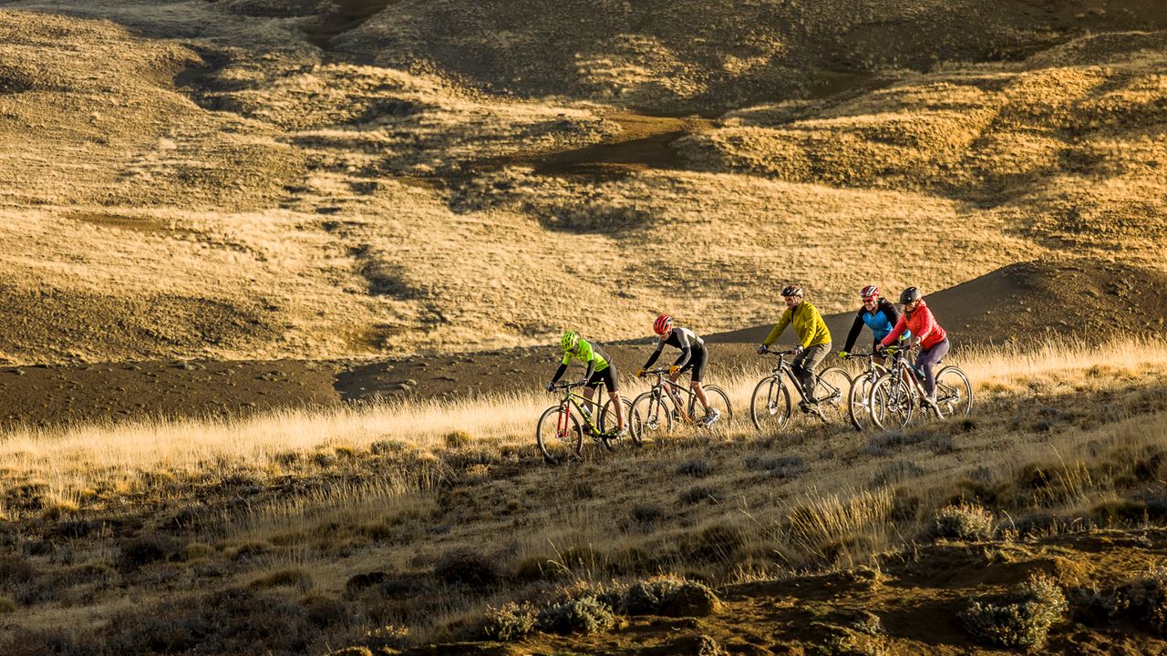 Safari-bike-erlebnis – Wildtiere Und Steppe foto 6