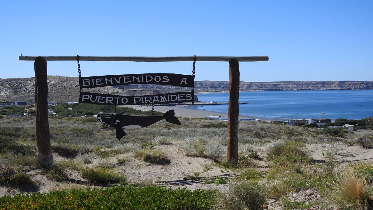 Península Valdes Imperdible foto 5