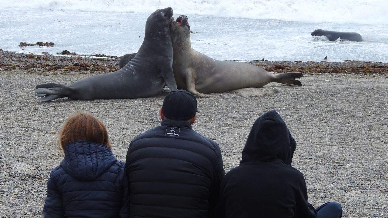 Punta Tombo Tour With Isla Escondida In Puerto Madryn foto 9