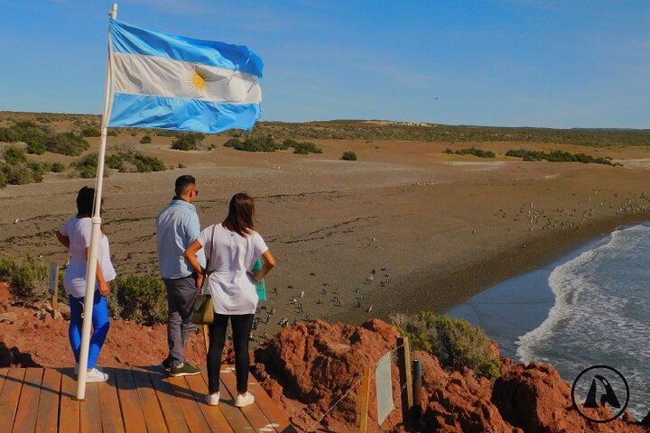 Punta Tombo Tour With Isla Escondida In Puerto Madryn foto 7