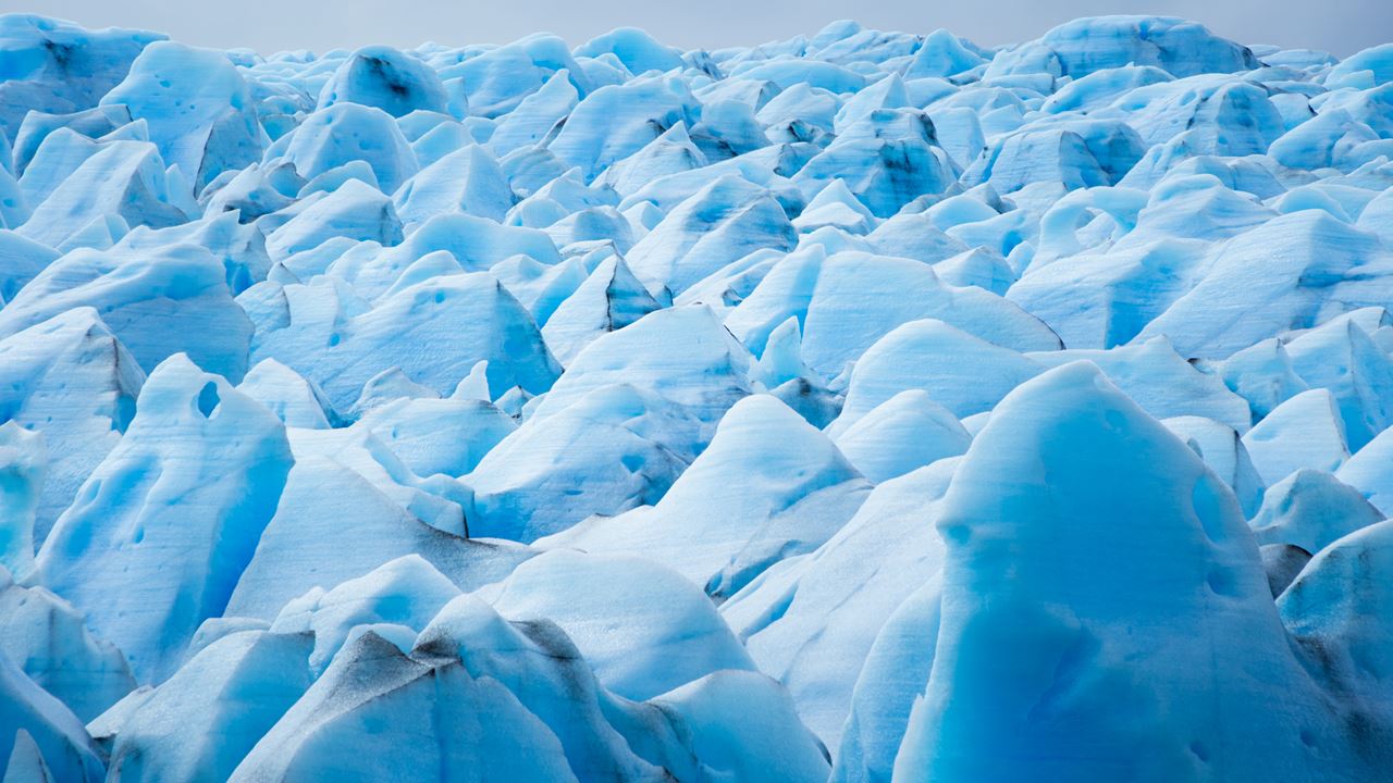 Ice Trekking Al Glaciar Grey foto 5