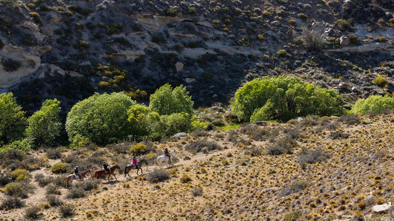 Cabalgata Experience foto 2