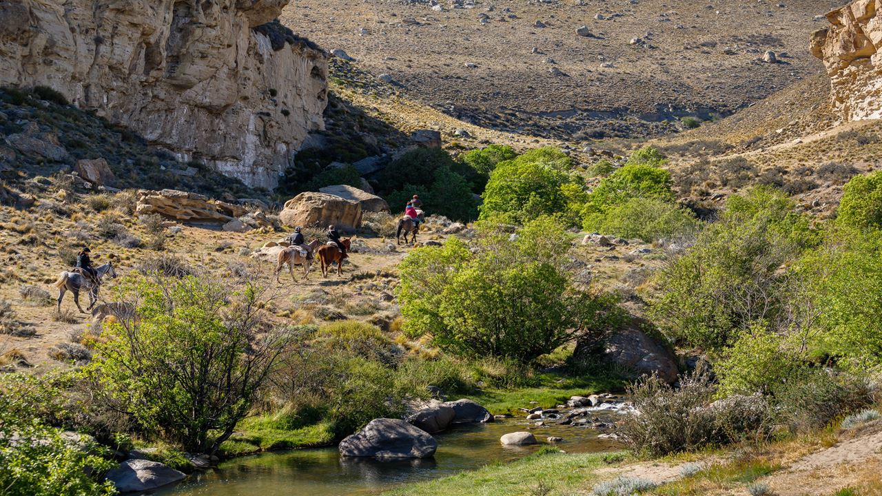 Cabalgata Experience foto 5