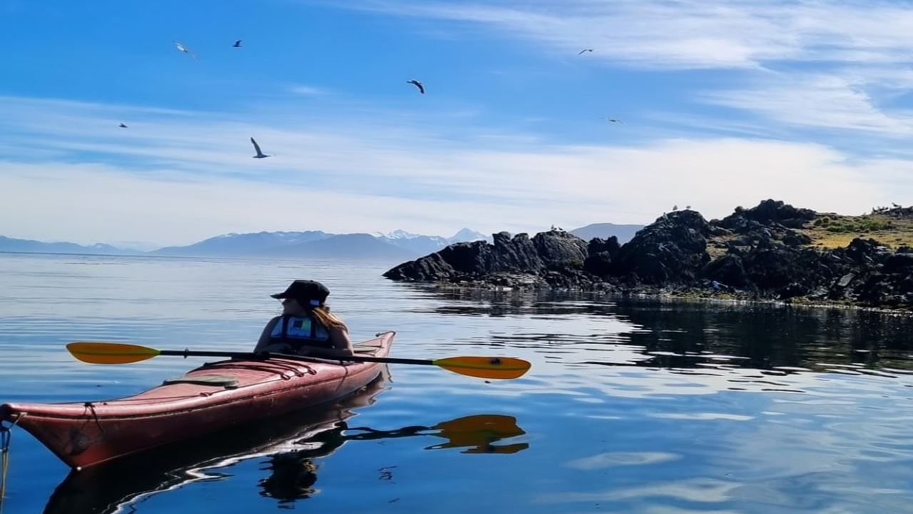 Kajak-erlebnis In Ushuaia foto 3