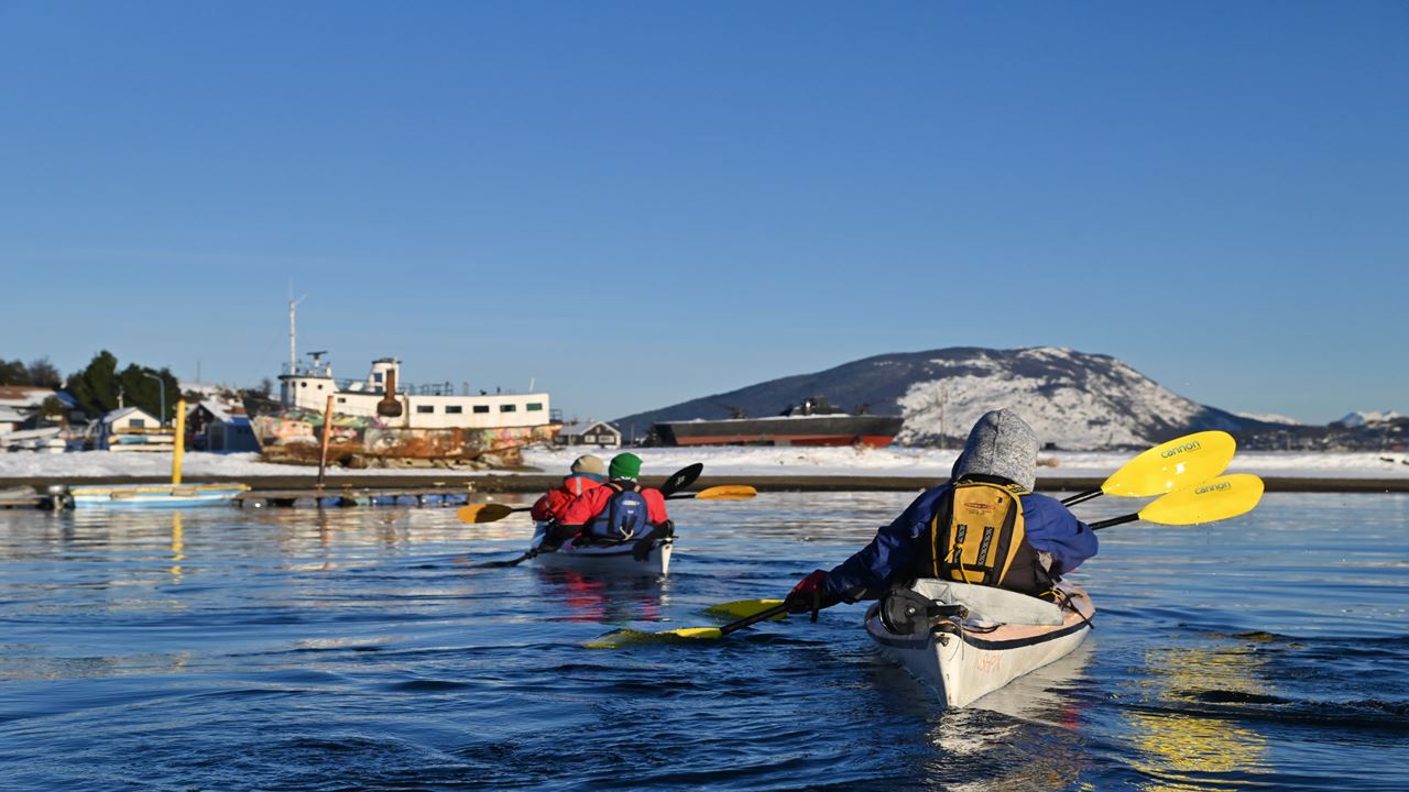 Kajak-erlebnis In Ushuaia foto 6