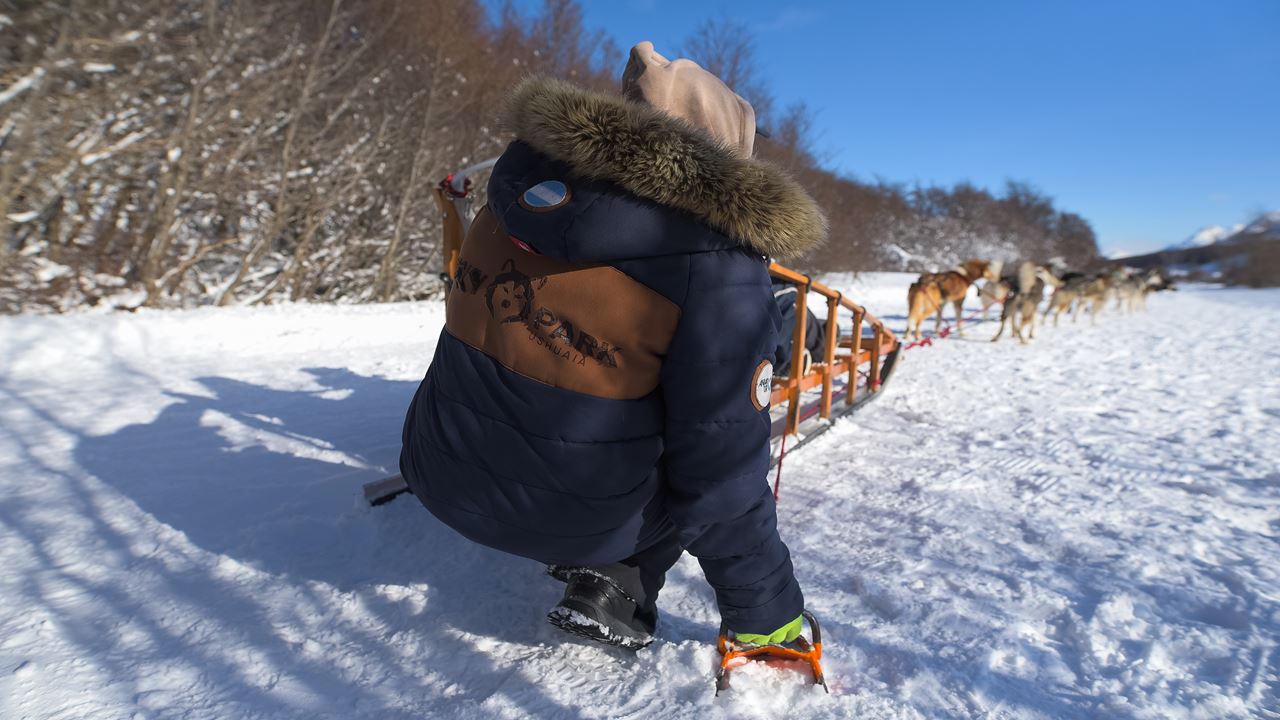 Aventure Blanche Avec Les Huskies foto 8