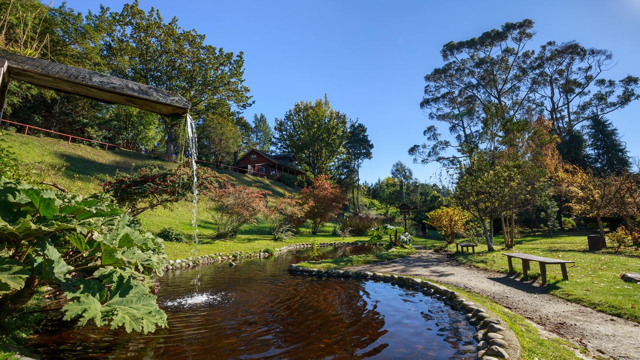 Circuit Enchanté Autour Du Lac Llanquihue Et Du Volcan Osorno foto 8