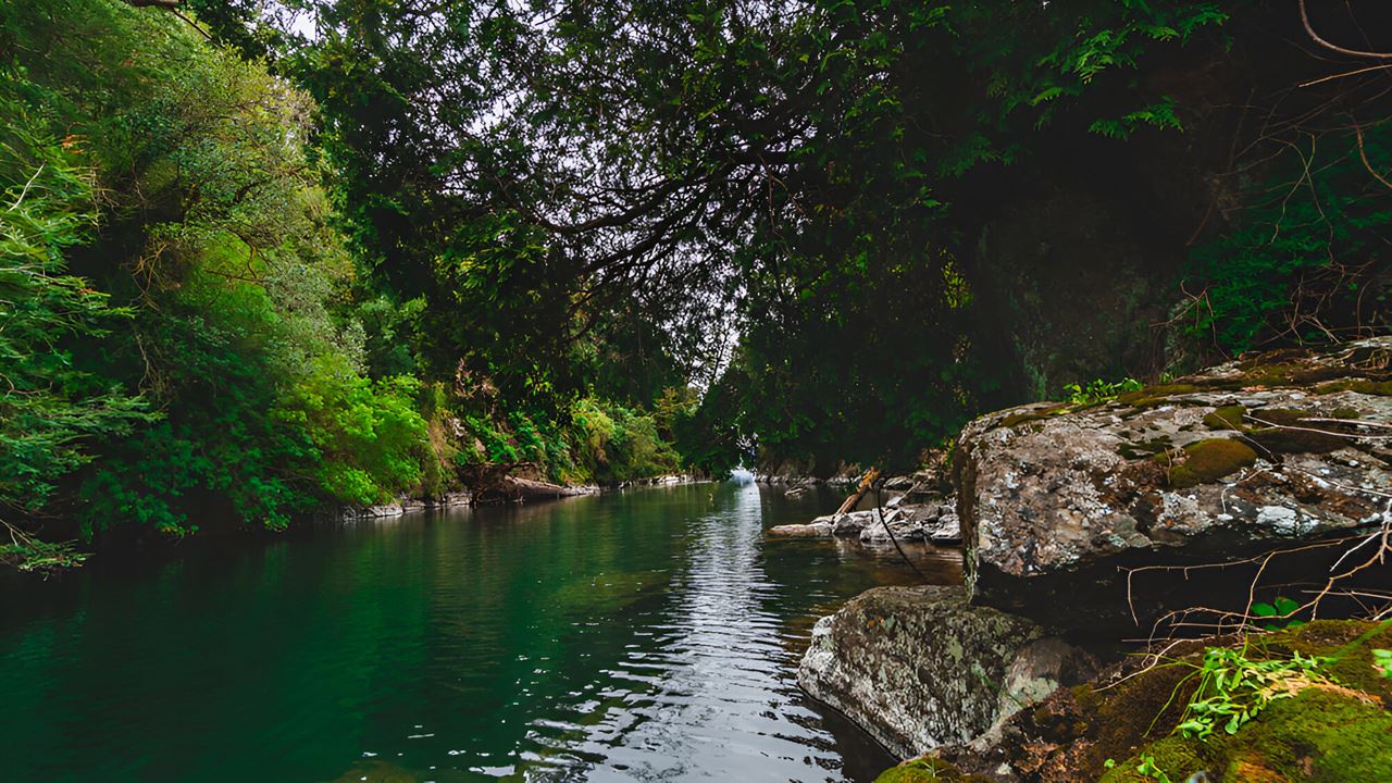 Adventure Between Lakes: From Puerto Octay, Lake Rupanco To Puyehue
 foto 8