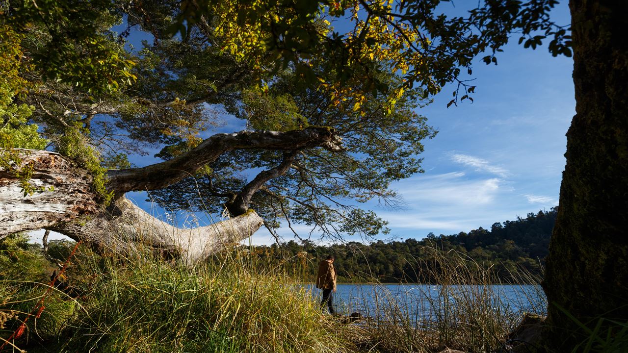 Adventure Between Lakes: From Puerto Octay, Lake Rupanco To Puyehue
 foto 7
