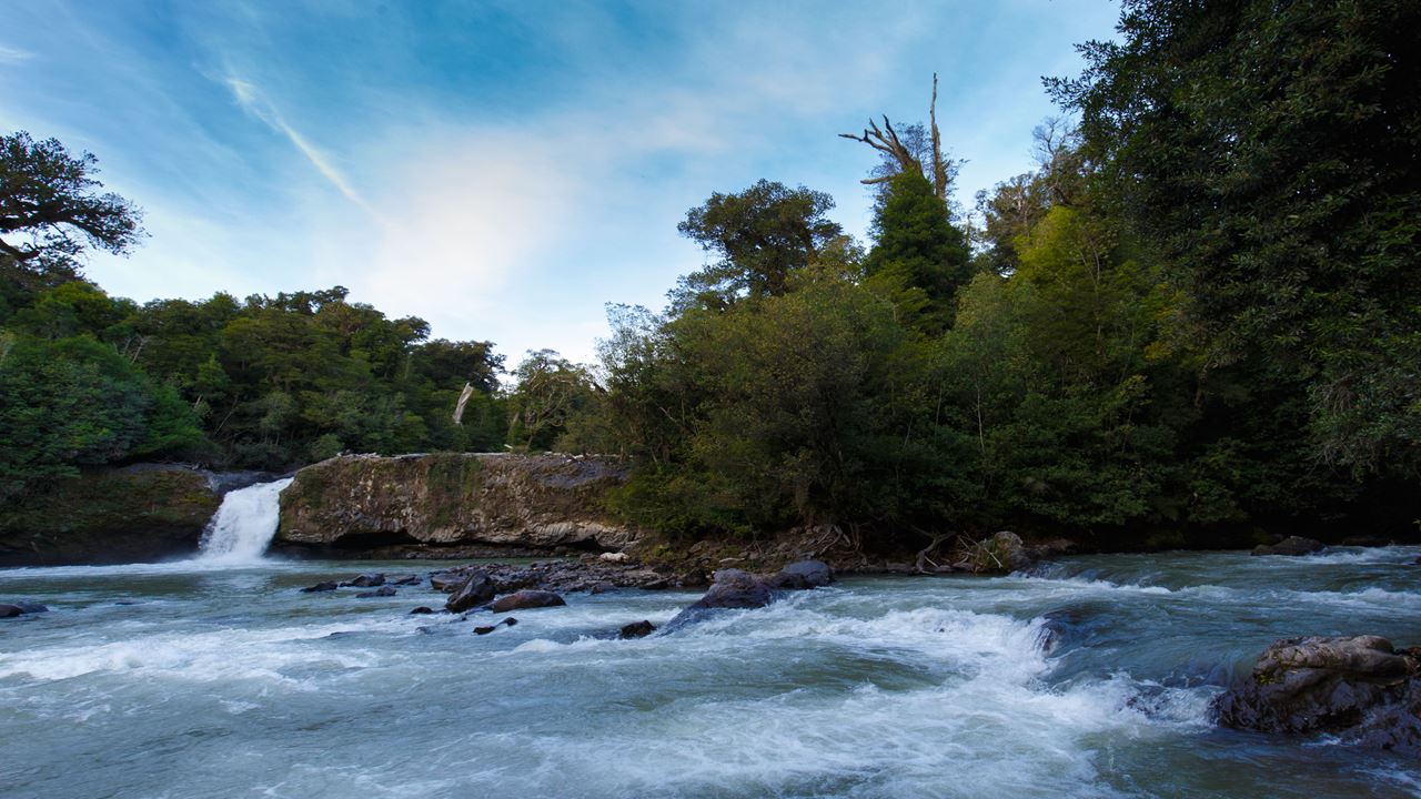 Adventure Between Lakes: From Puerto Octay, Lake Rupanco To Puyehue
 foto 6