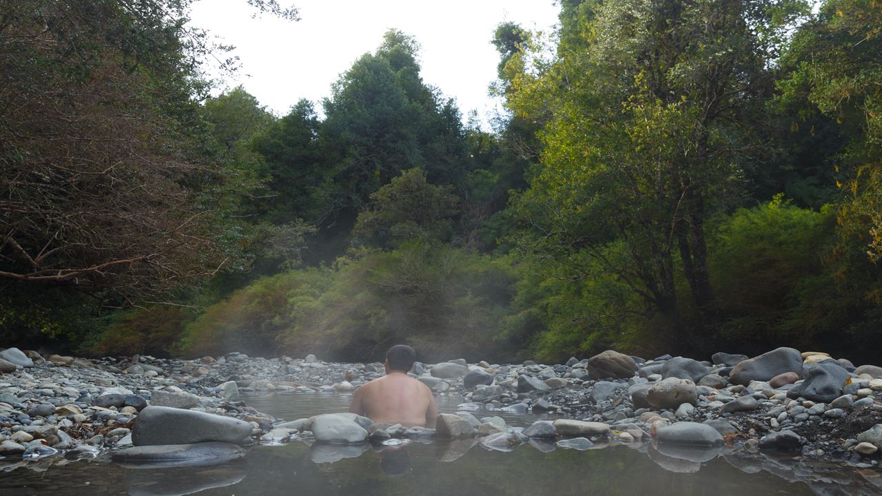 Adventure Between Lakes: From Puerto Octay, Lake Rupanco To Puyehue
 foto 5