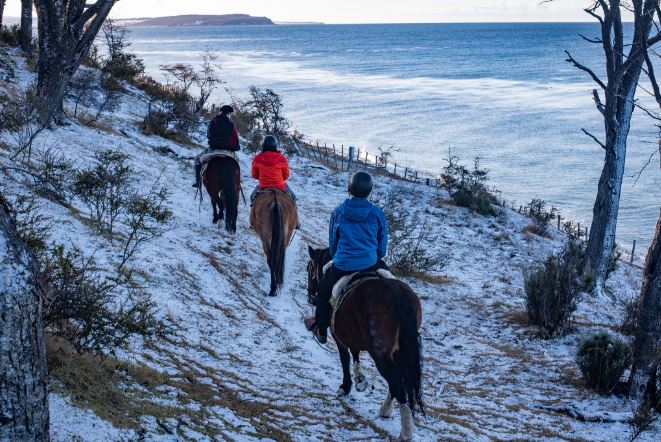 Observação De Golfinhos E Passeios A Cavalo foto 6