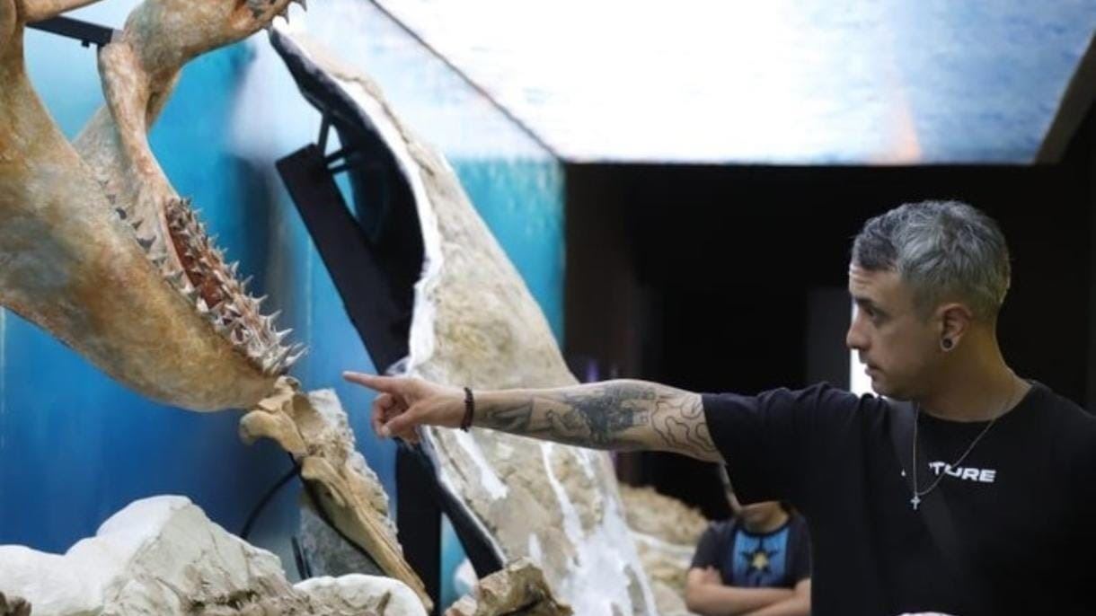 Dauphins Et Dinosaures foto 6